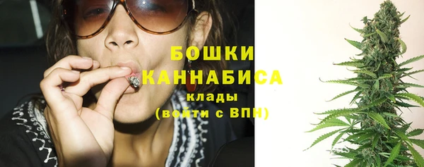индика Нягань