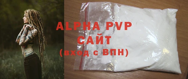 индика Нягань