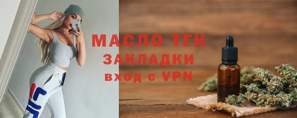 индика Нягань