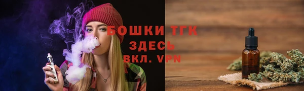 индика Нягань