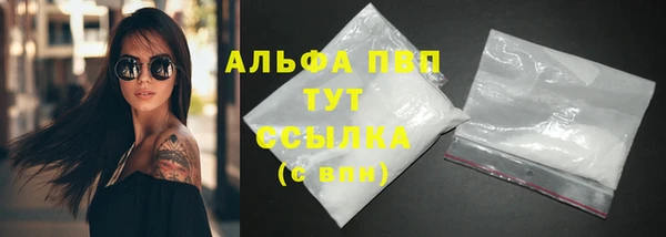 индика Нягань