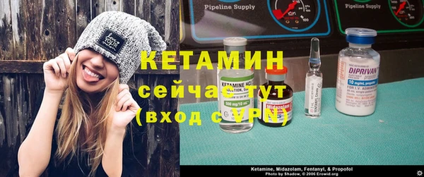 индика Нягань