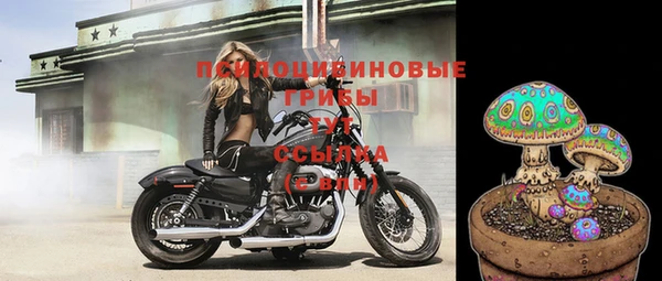индика Нягань