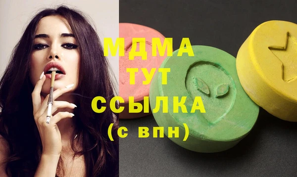 индика Нягань