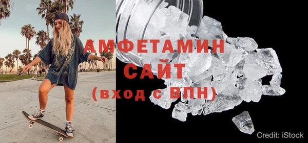 индика Нягань