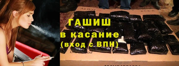 индика Нягань