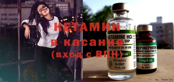 индика Нягань