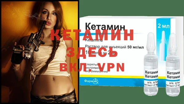 индика Нягань