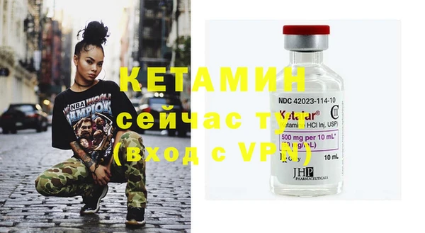индика Нягань
