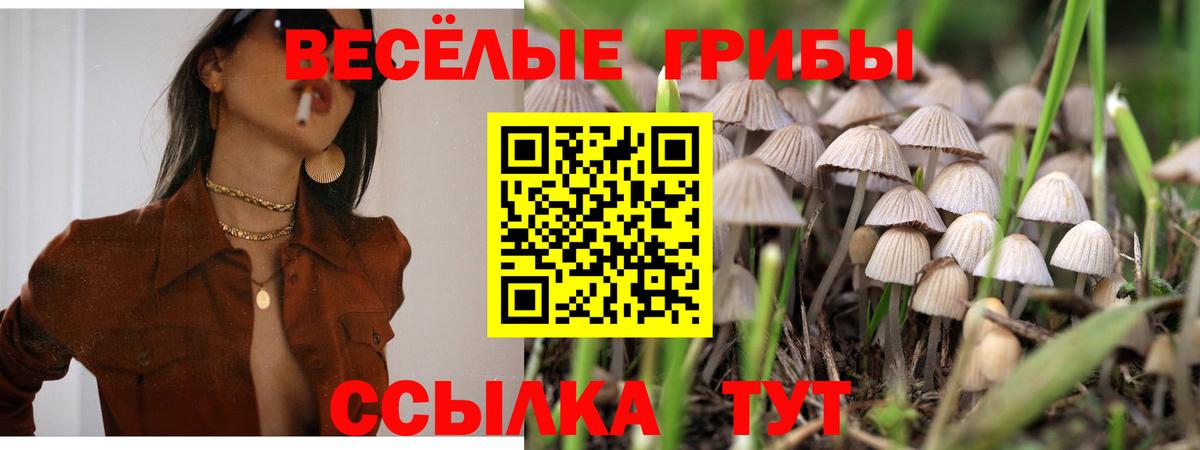 Борзя  Псилоцибиновые грибы мицелий  Вход с VPN 